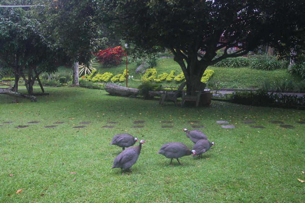 Hotel Villa Rawa Pening Pratama By Aparian Bandungan Luaran gambar